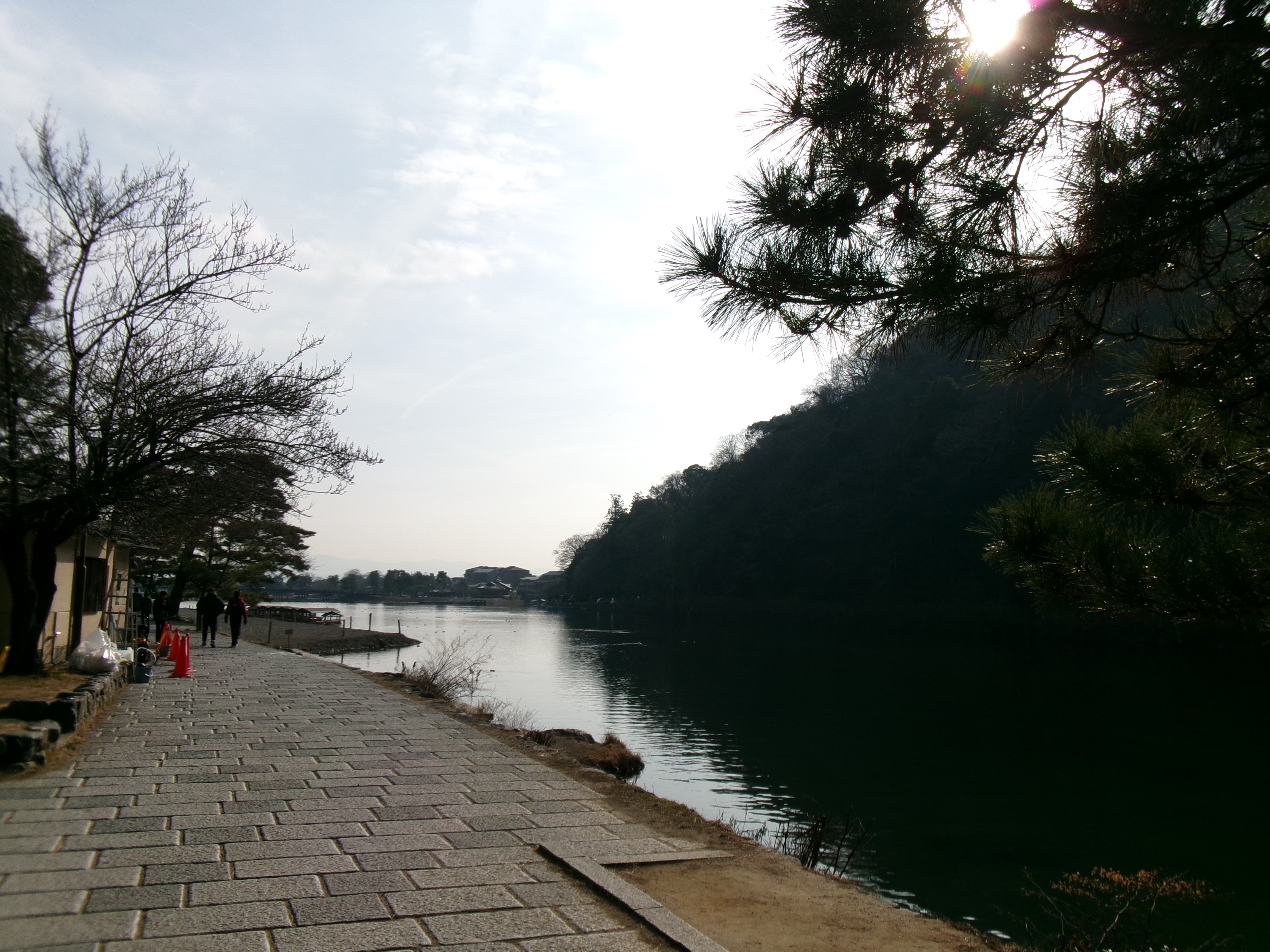 桂川沿いの道